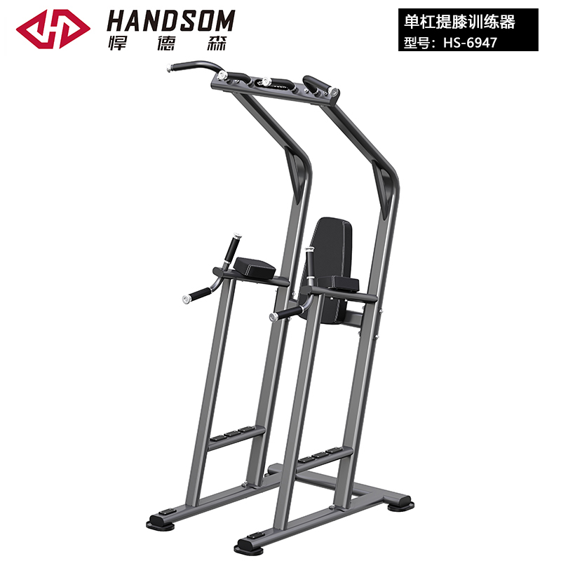 悍德森HS-6947 引體向上及垂直提膝訓練器
