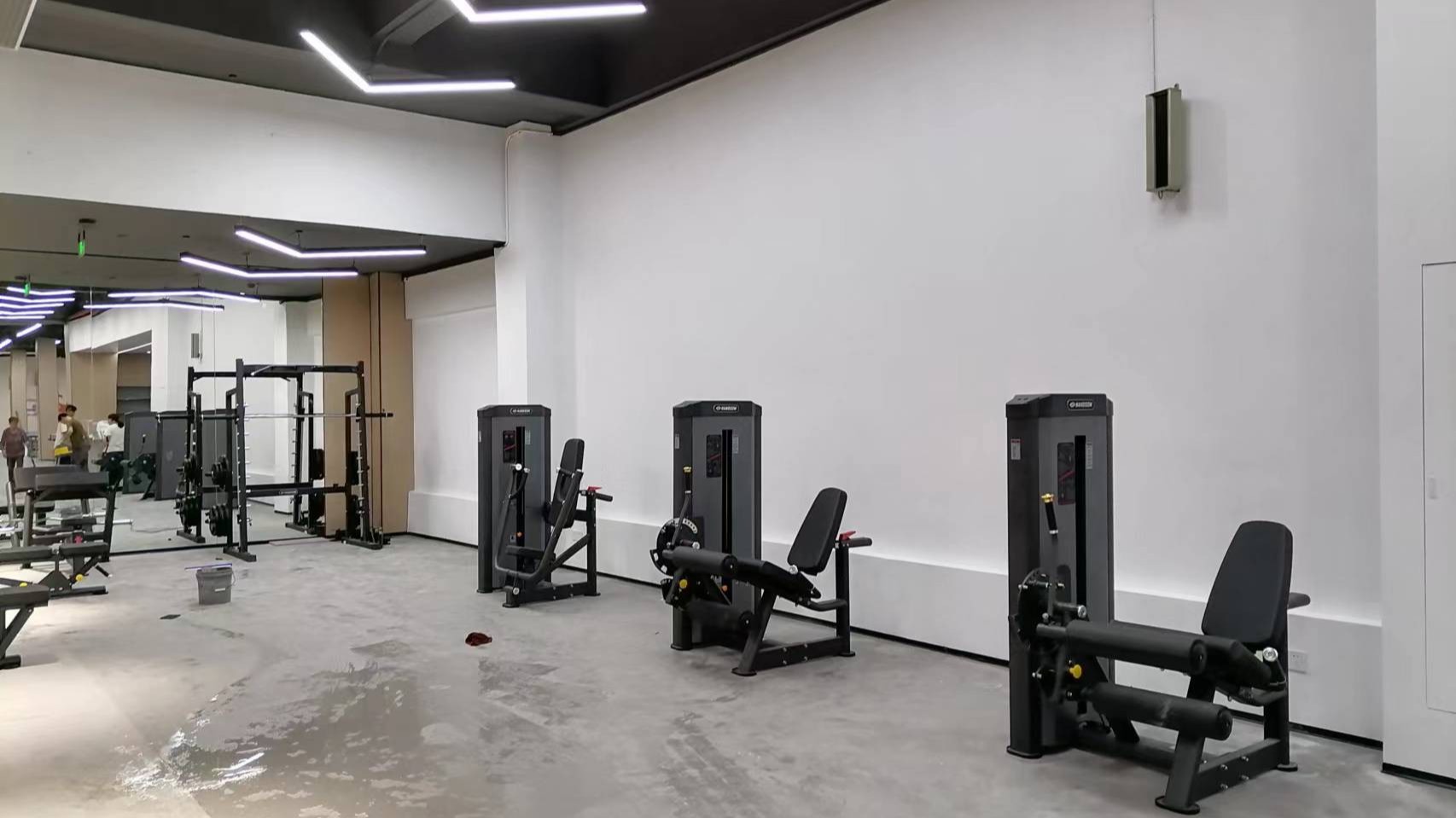 2025年室內健身器材發展現狀